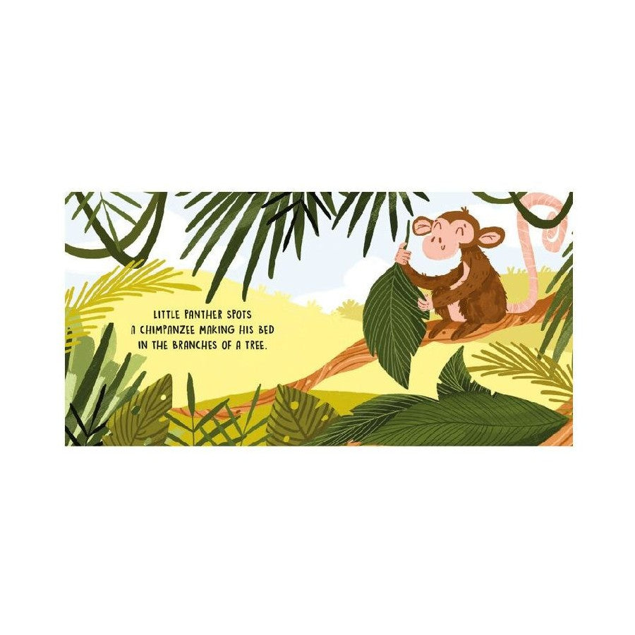 Sassi - Sweet Sounds Stories - The Jungle | Board Book