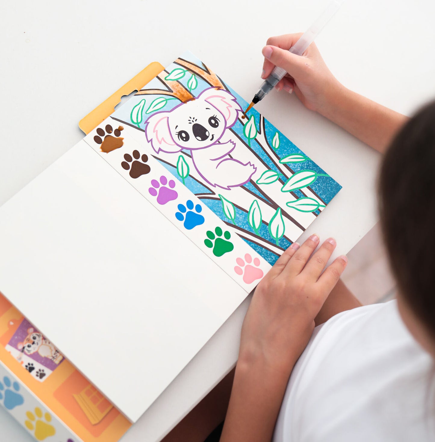 Tiger Tribe Paint a Picture Set - Wild Animals