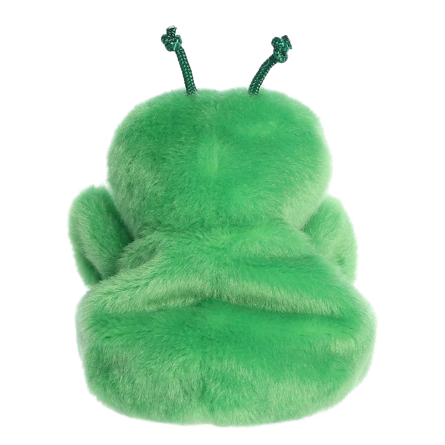 Palm Pals - Kai Praying Mantis