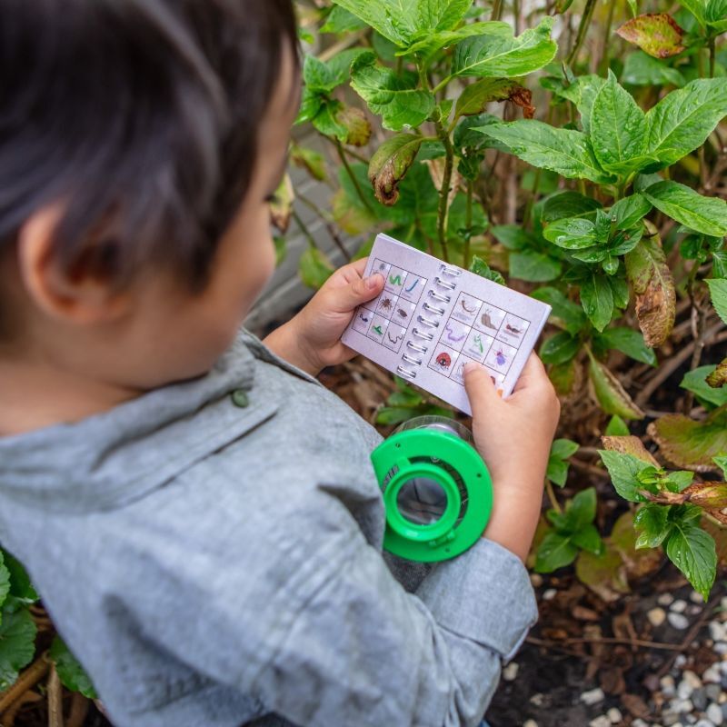 Tiger Tribe Bug Spotter Kit