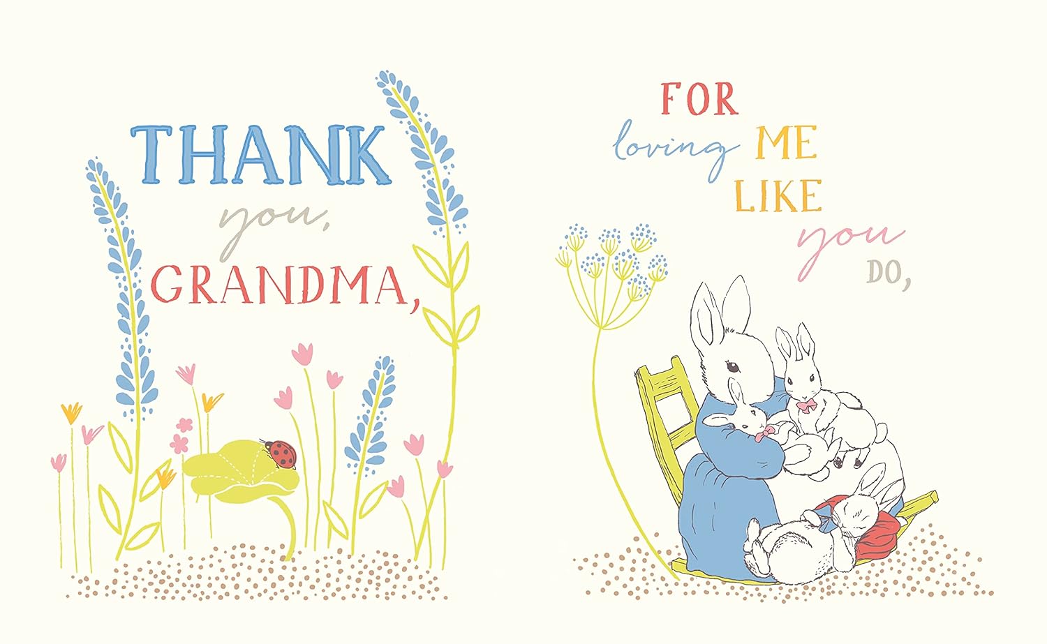 Peter Rabbit I Love You Grandma Book