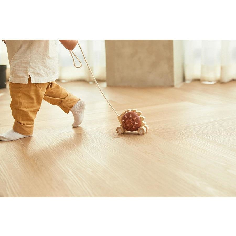 Plan Toys - Pull Along Hedgehog