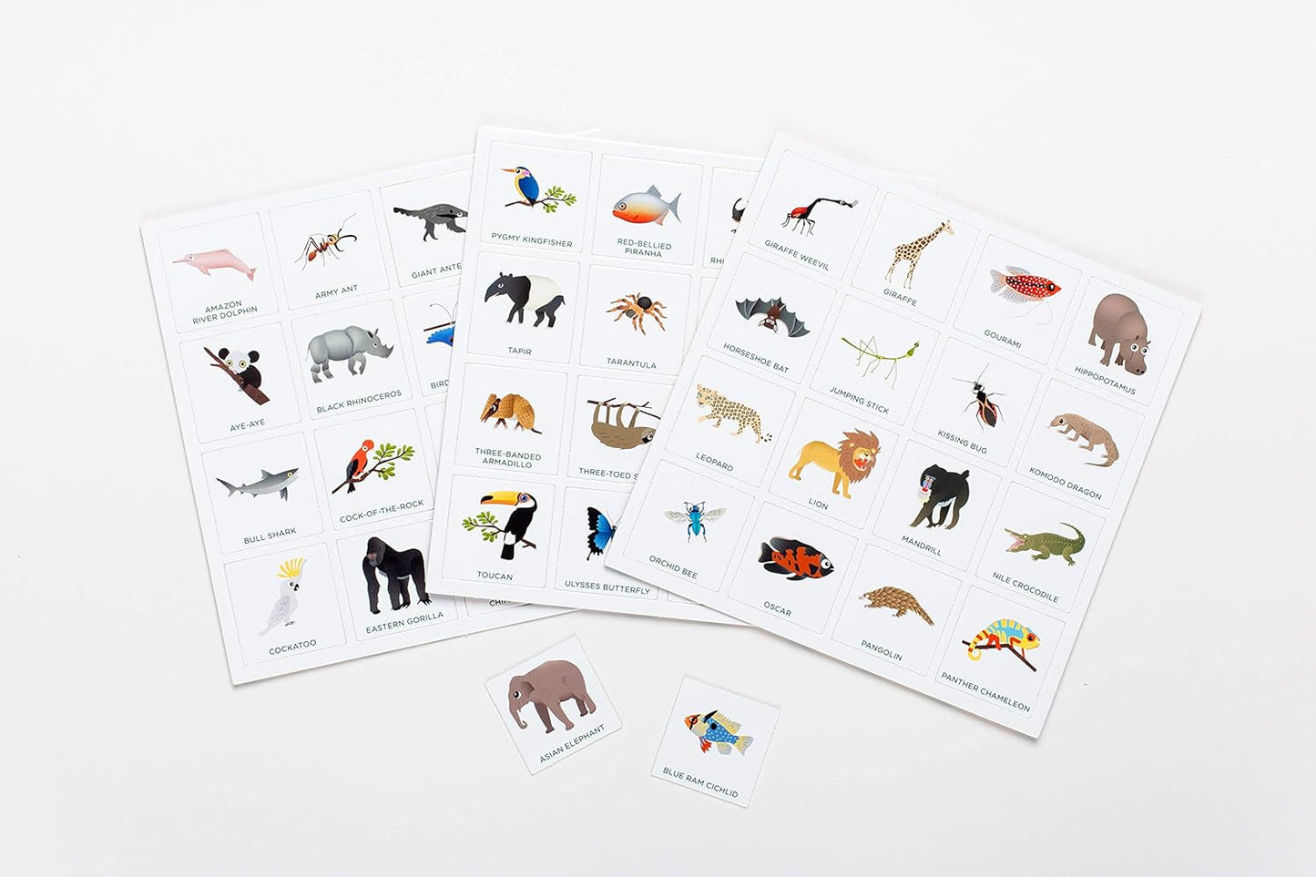 Jungle Bingo - Bingo for Kids