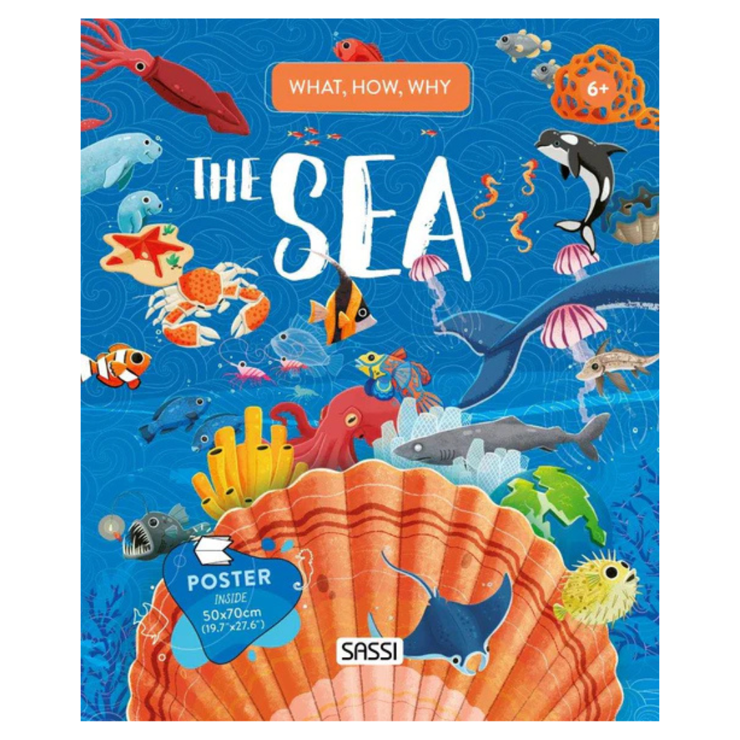 Sassi - What How Why The Sea Book and Poster