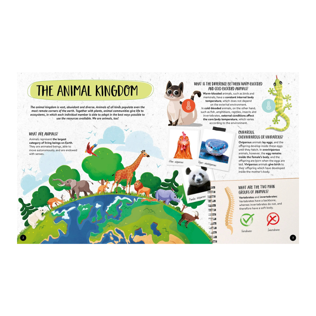 Sassi - What How Why Animals Book and Poster