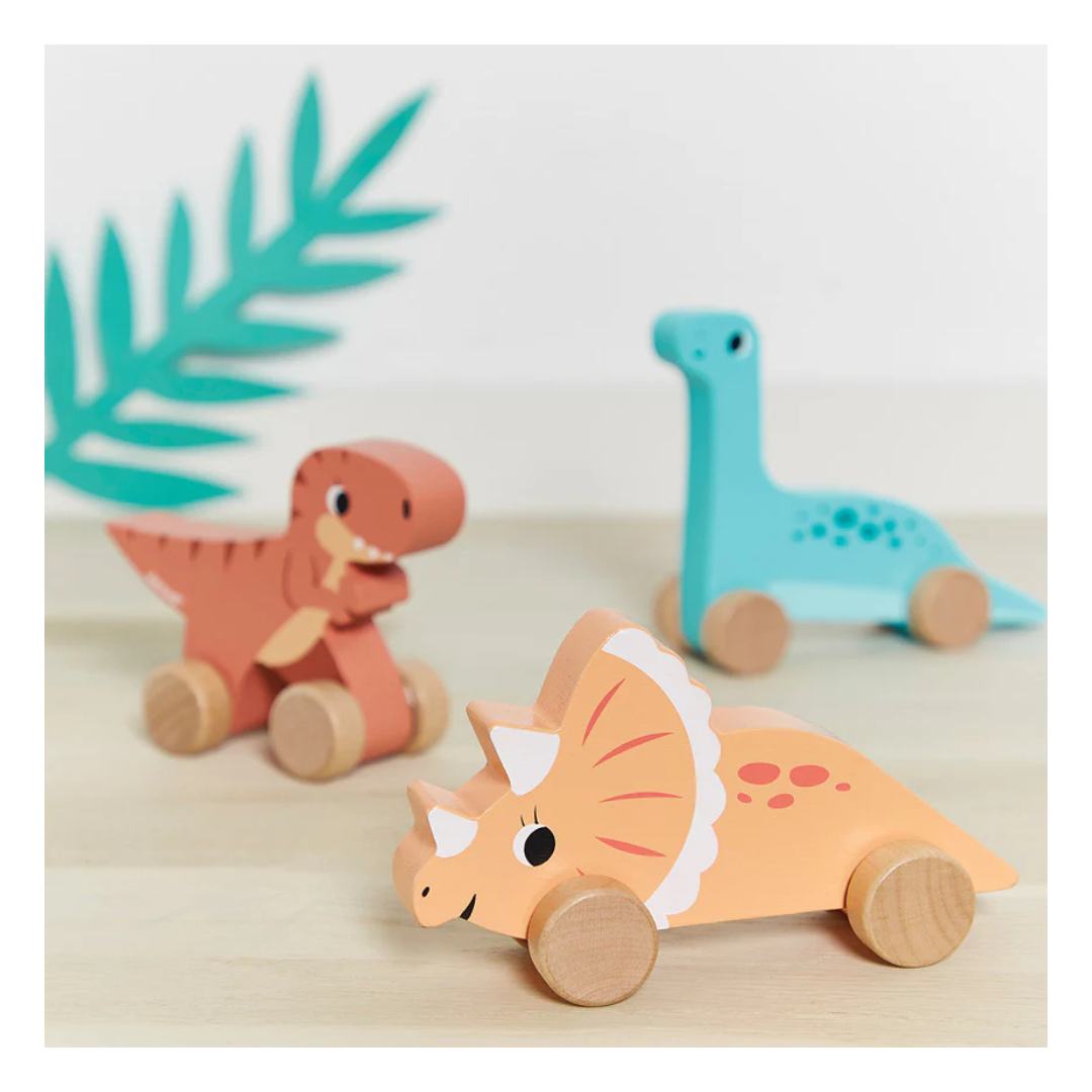Janod - Dino Push-Alongs | Assorted