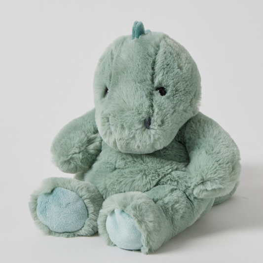 Jiggle & Giggle - Rex Dinosaur