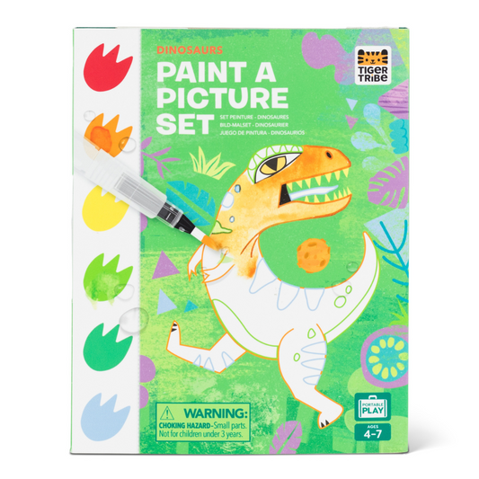 Tiger Tribe Paint a Picture Set - Dinosaurs