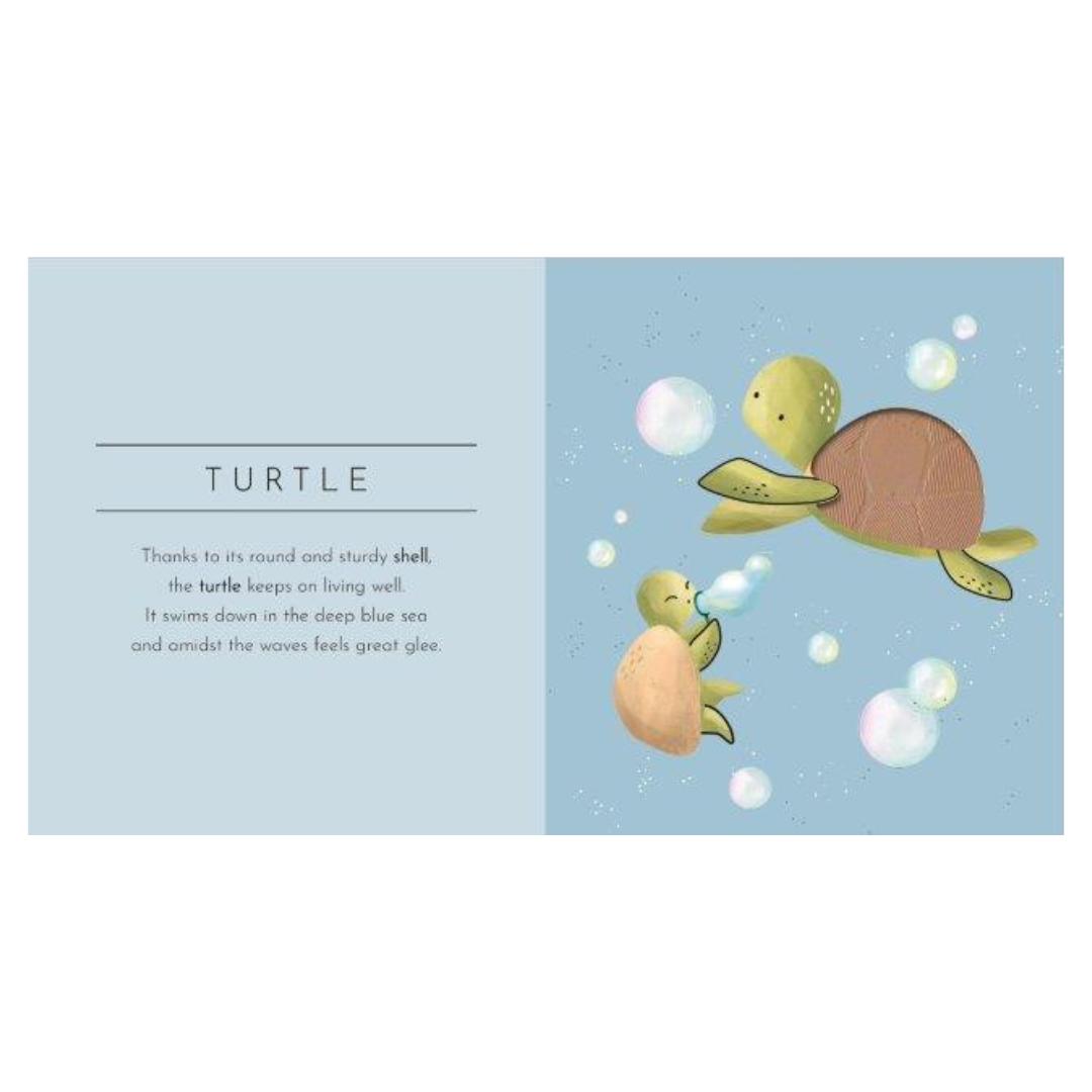Sassi - Touch and Feel Animals Book