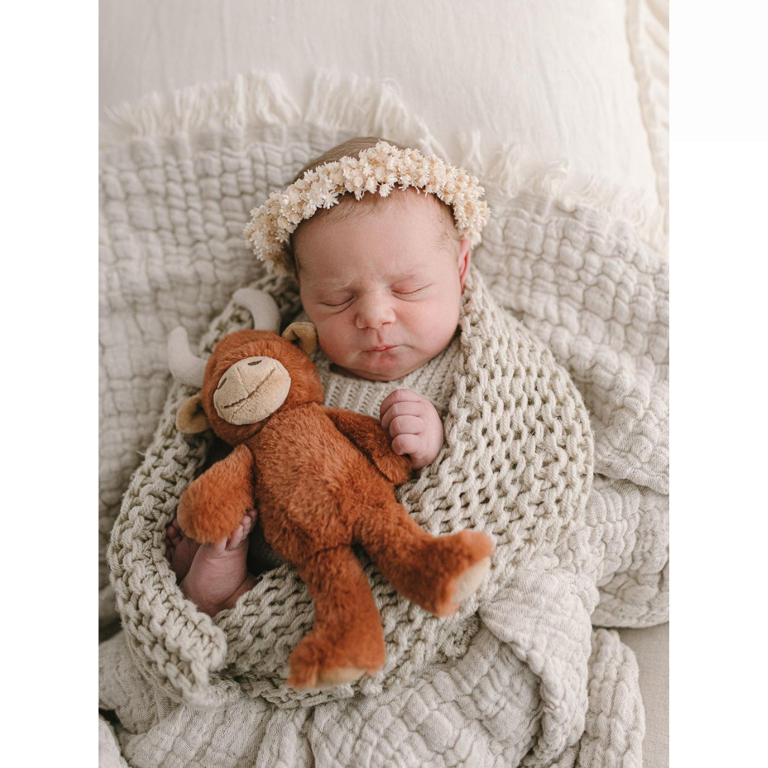 Nana Huchy - Henry the Highland Cow Rattle