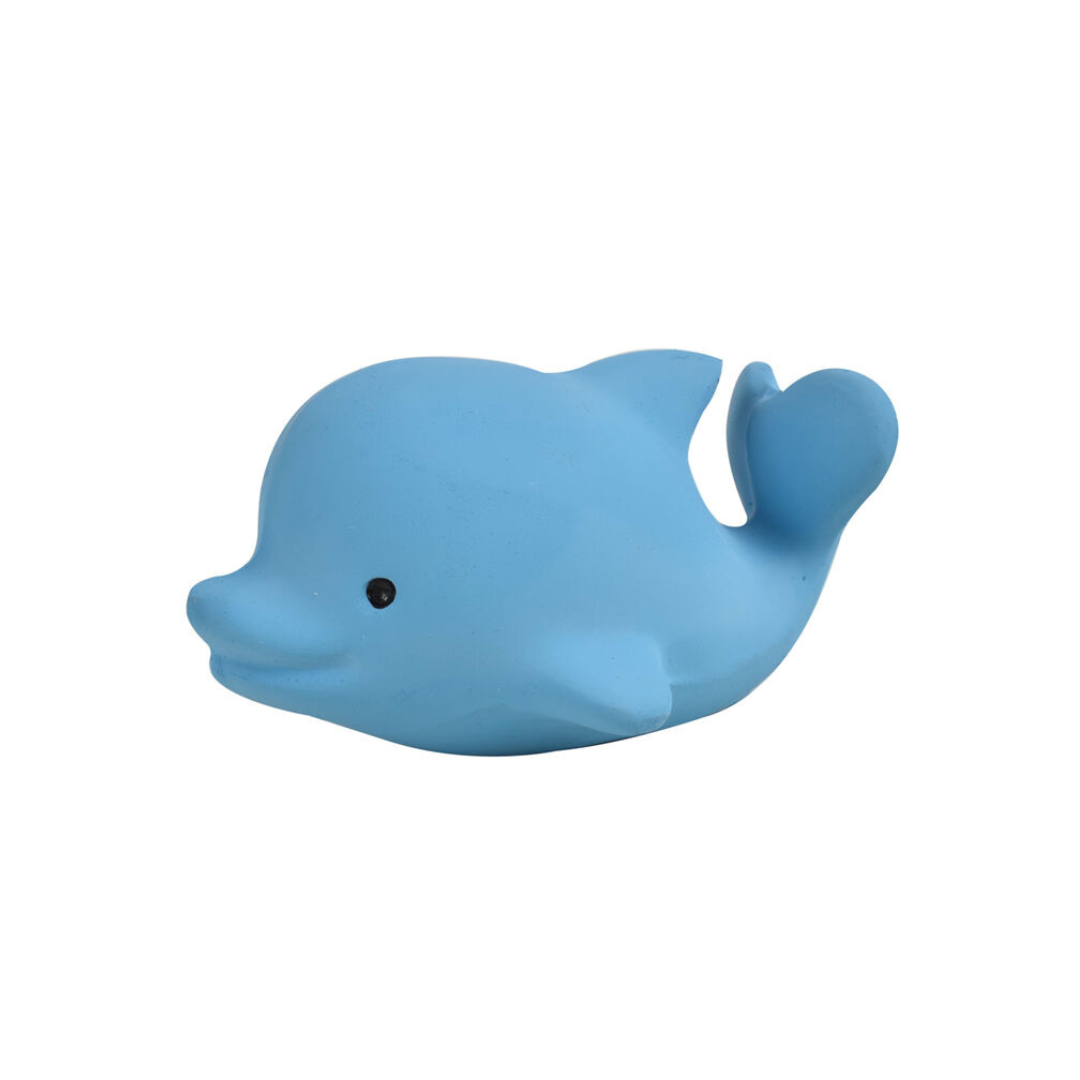 Tikiri Dolphin Rubber Teether Rattle & Bath Toy