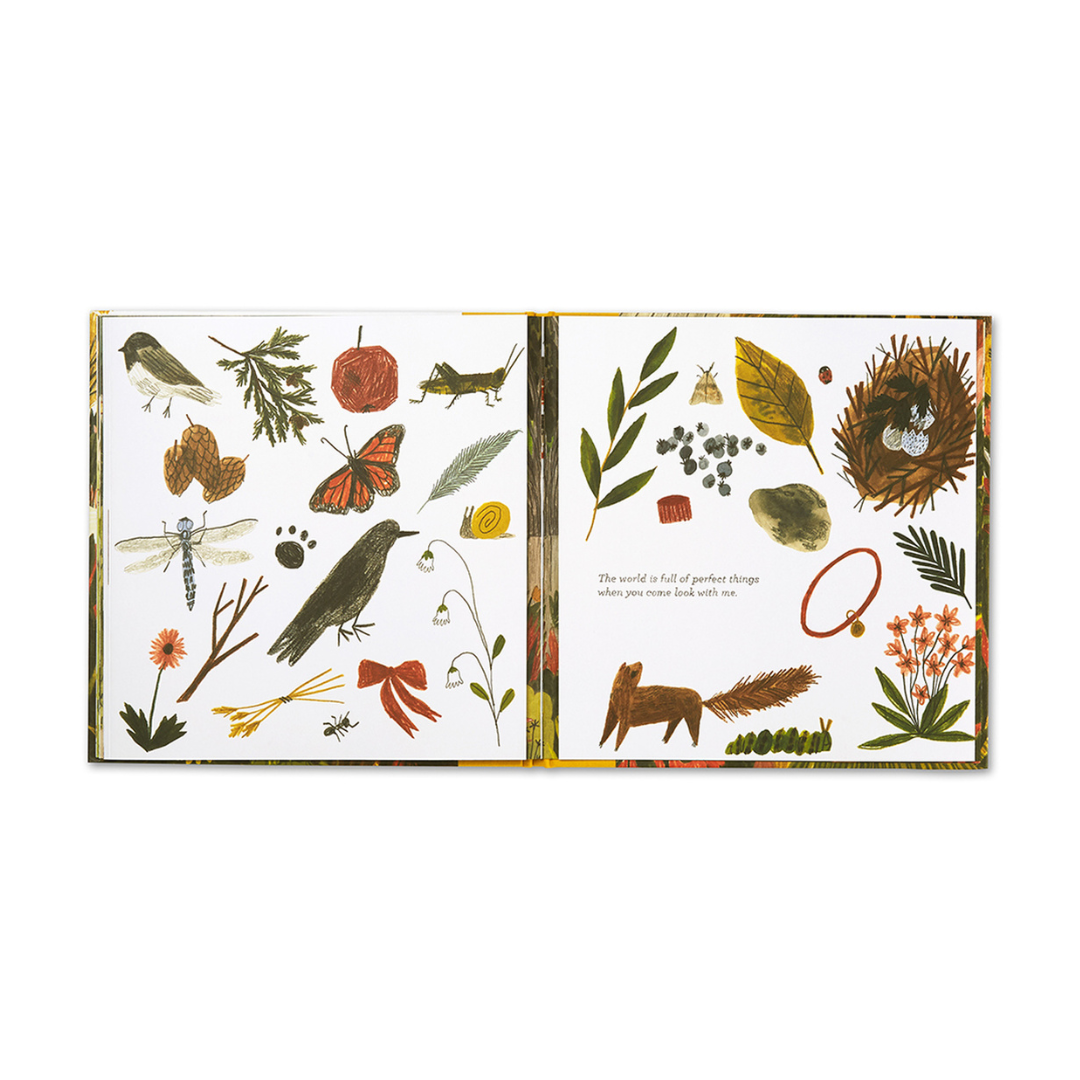 Tiny, Perfect Things Book