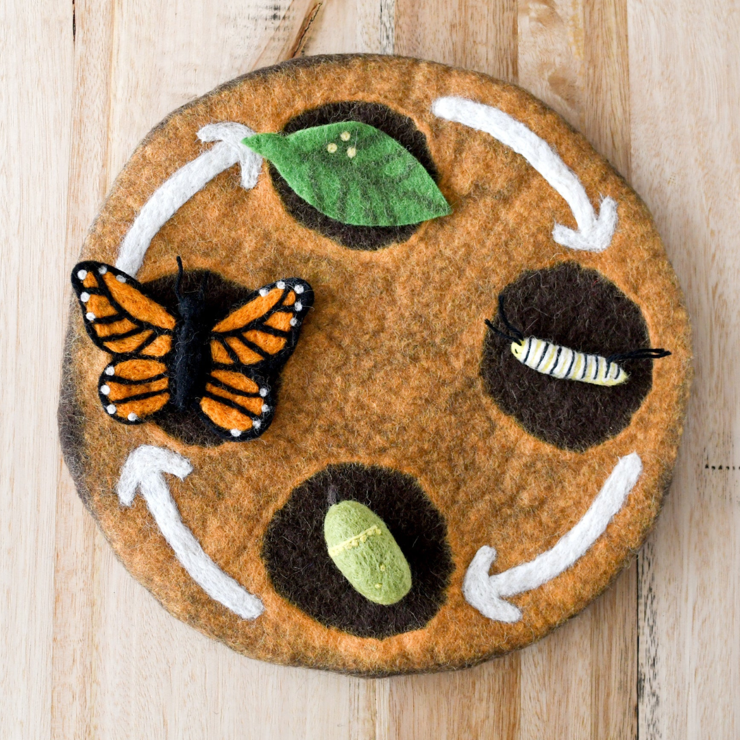 Tara Treasures - Lifecycle of Monarch Butterfly Felt Toy