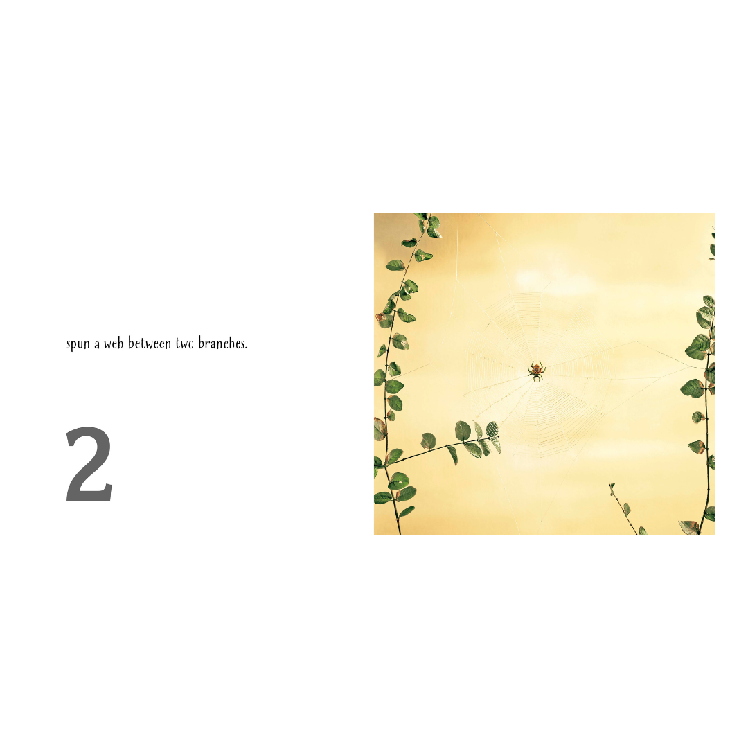 One Hungry Spider (35th Anniversary Edition) Book