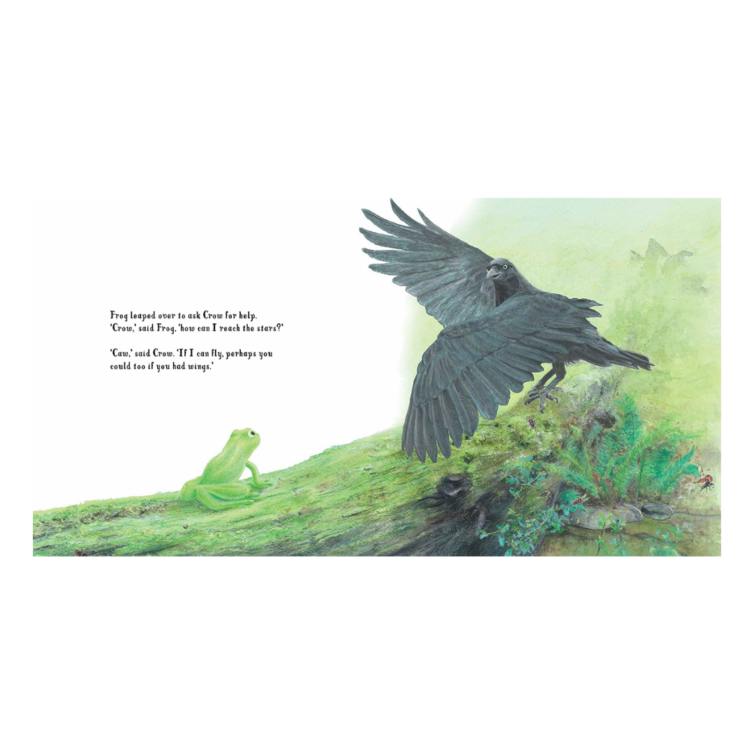Frogs Find a Place Book
