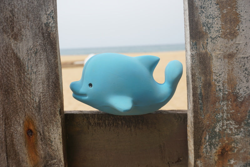 Tikiri Rubber Dolphin Ocean Buddy