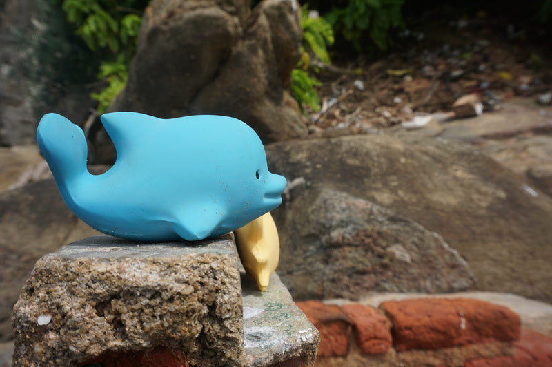 Tikiri Rubber Dolphin Ocean Buddy