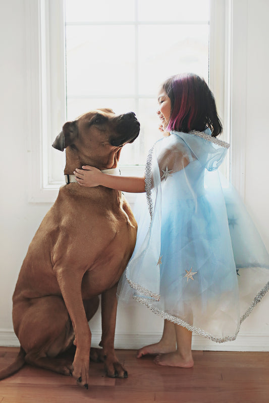 Great Pretenders - Blue & Silver Snow Queen Cape