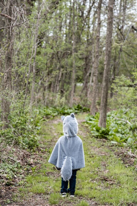 Great Pretenders - Woodland Storybook Wolf Cape