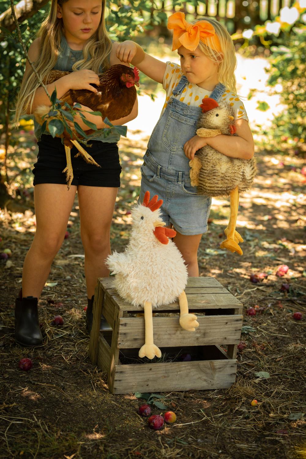 Nana Huchy - Roy the Rooster