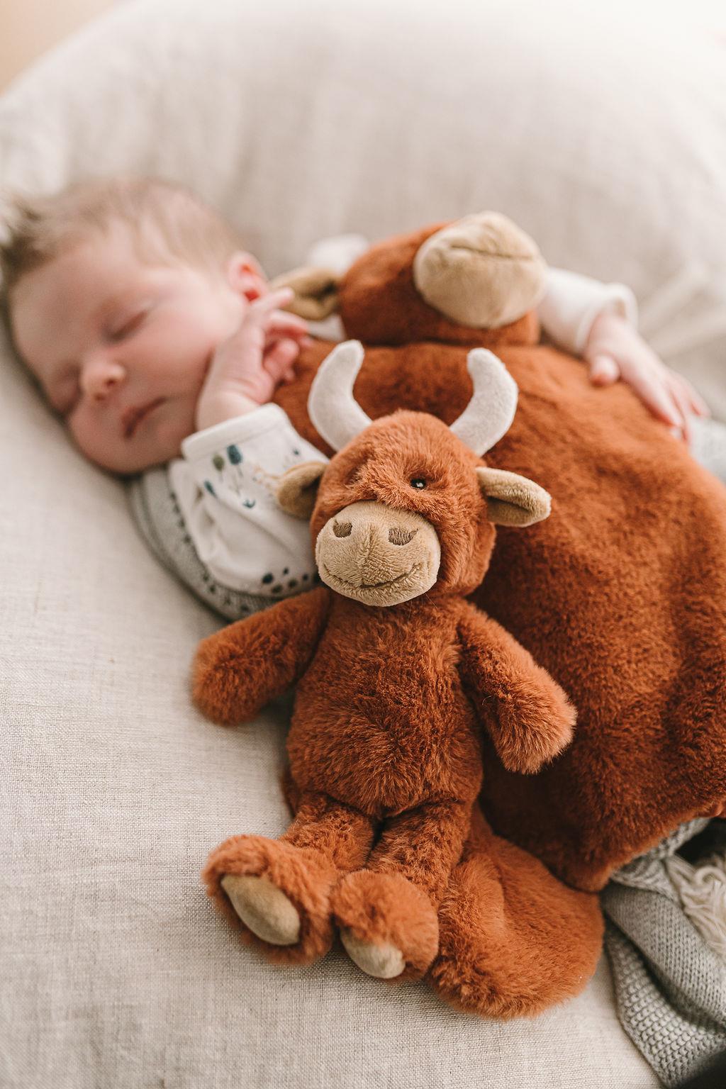 Nana Huchy - Henry the Highland Cow Rattle