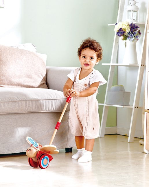 Hape Butterfly Push Along