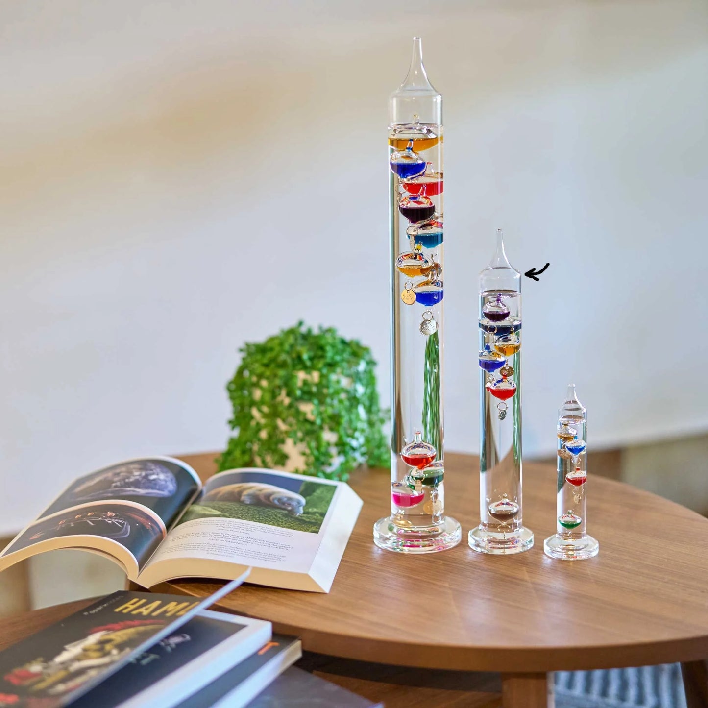 Heebie Jeebies Galileo Thermometer 28cm