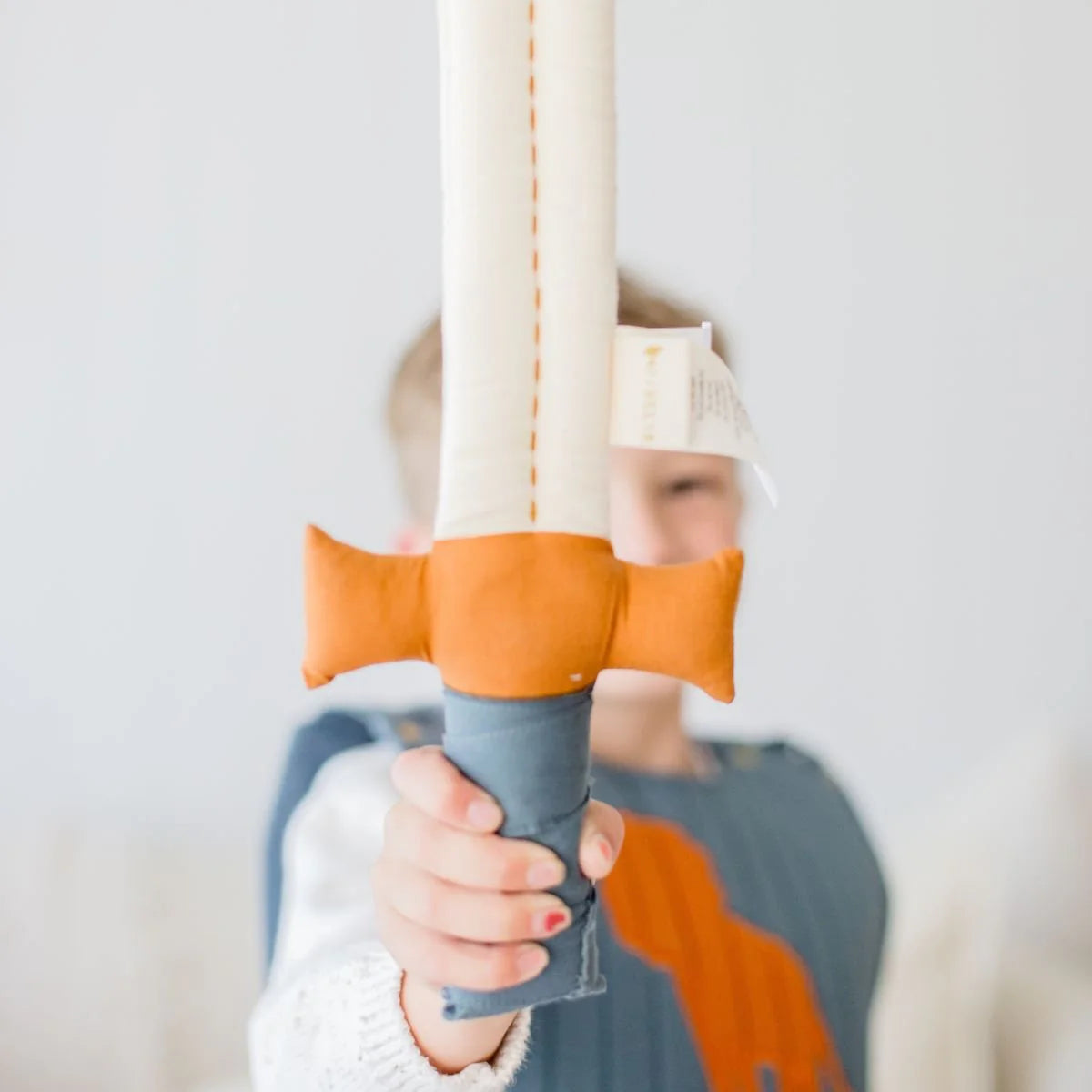 Fabelab - Sword and Shield | Lion