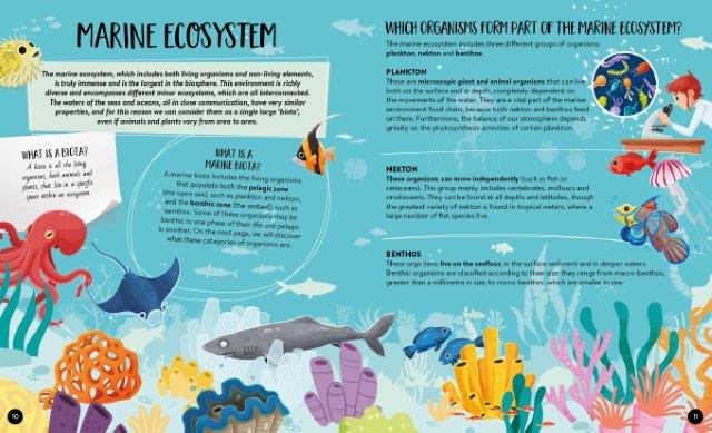 Sassi - What How Why The Sea Book and Poster
