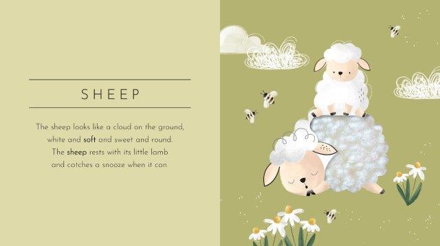 Sassi - Touch and Feel Animals Book
