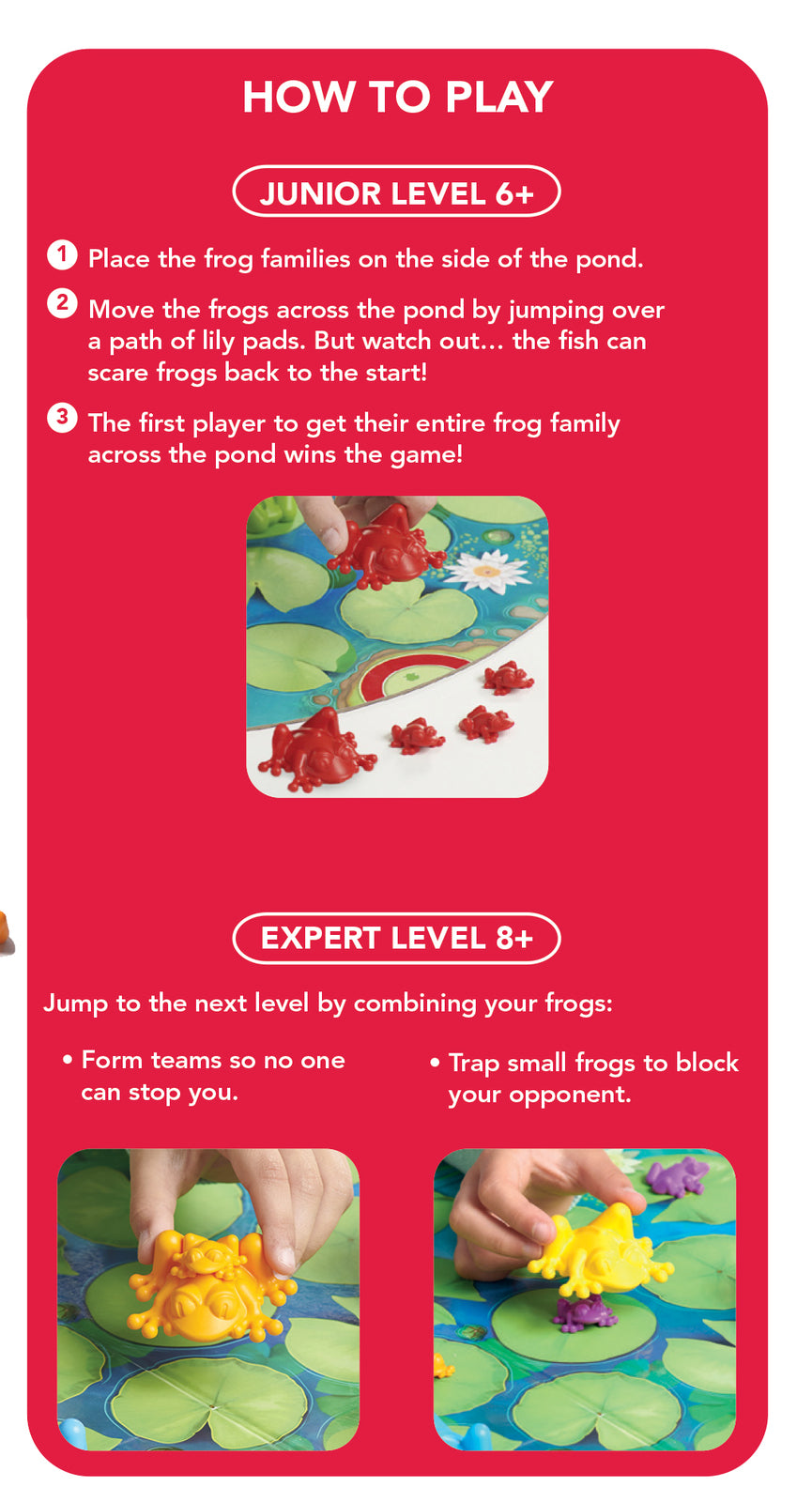 Smart Games Froggit