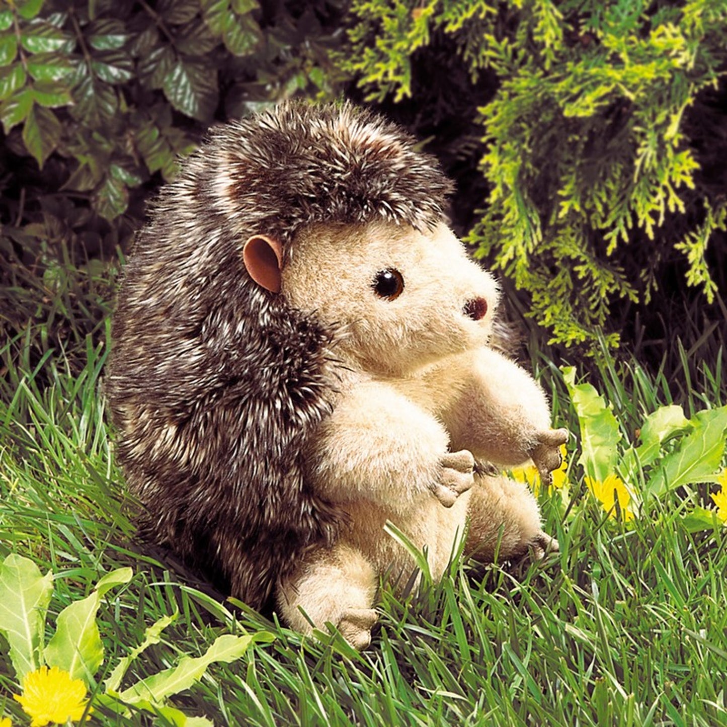 Folkmanis Hedgehog Puppet