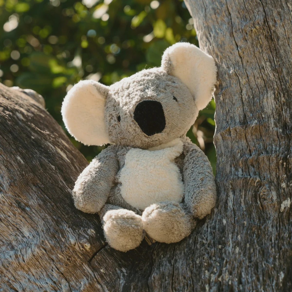SENGER Cuddly Animal - Koala (Australian Exclusive) with Removable Heat/Cool Pack