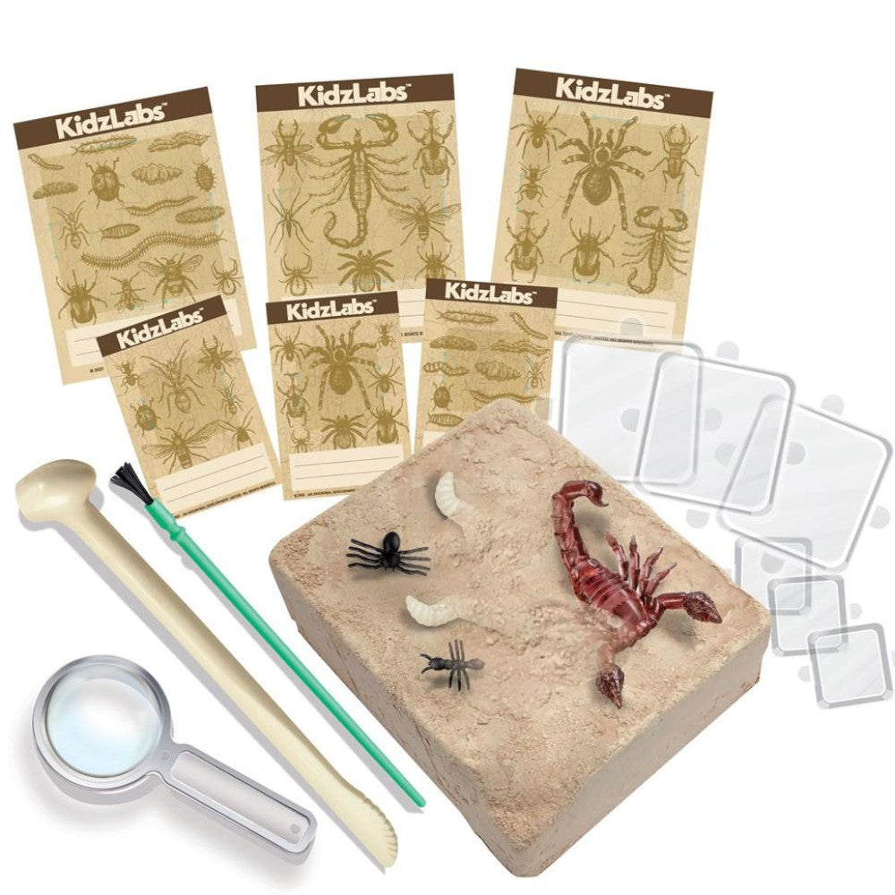 4M KidzLabs Creepy Crawly Digging Kit 1