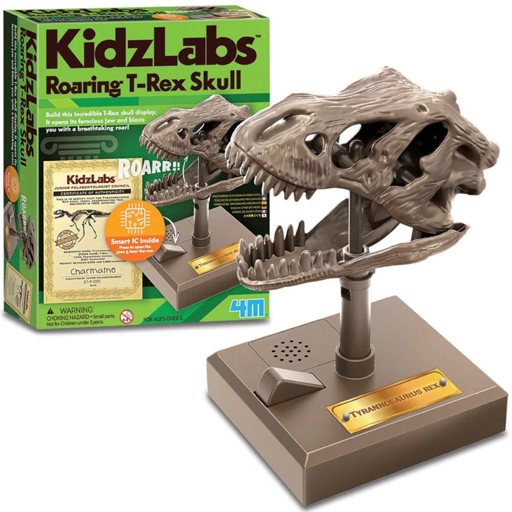 4M Roaring T-Rex Skull 1