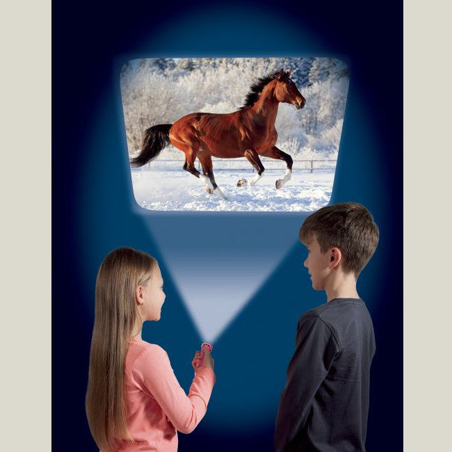 Brainstorm Toys Horse Torch 2