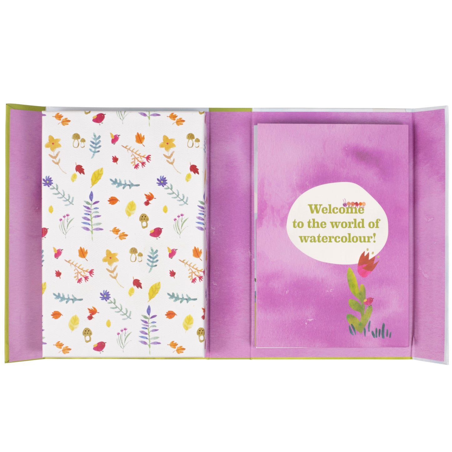 Tiger Tribe How to Paint Watercolour 1