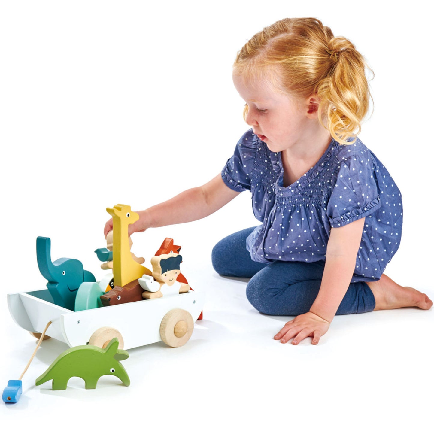 Tender Leaf Toys The Friend Ship Boat