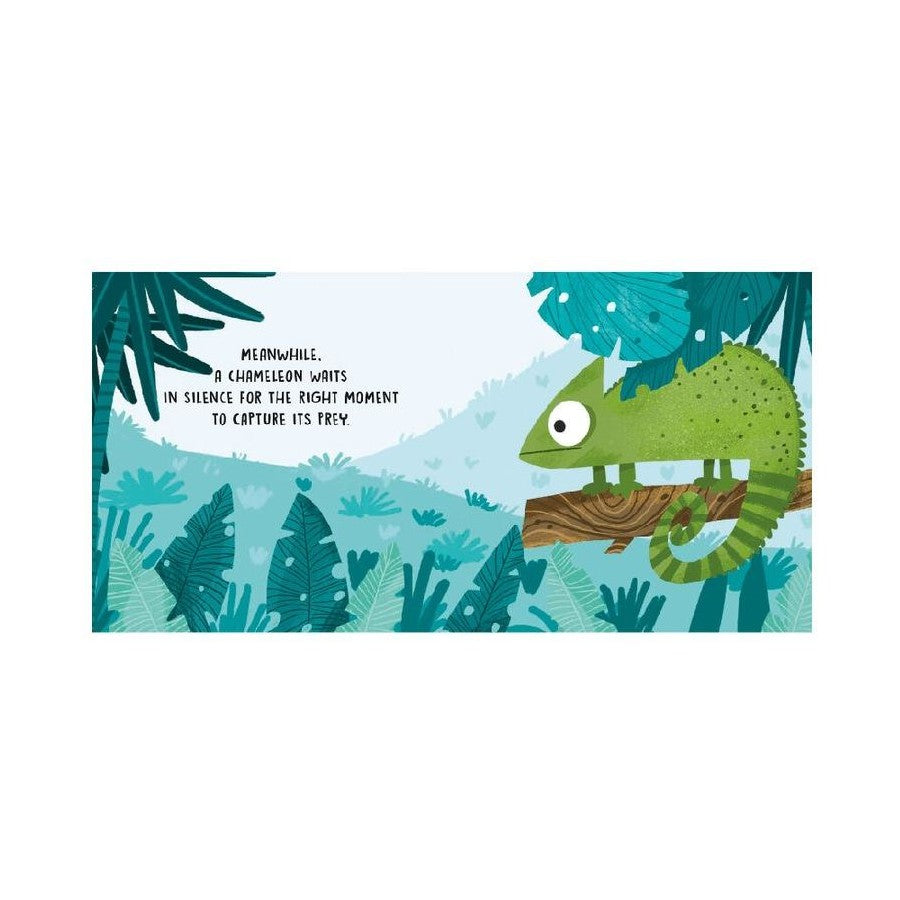 Sassi - Sweet Sounds Stories - The Jungle | Board Book
