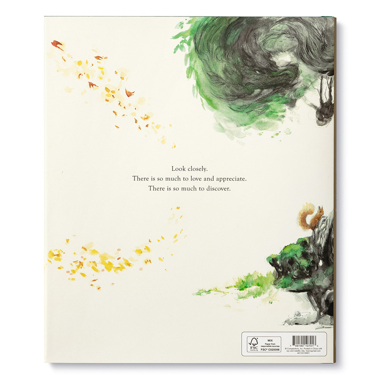 Noticing Book