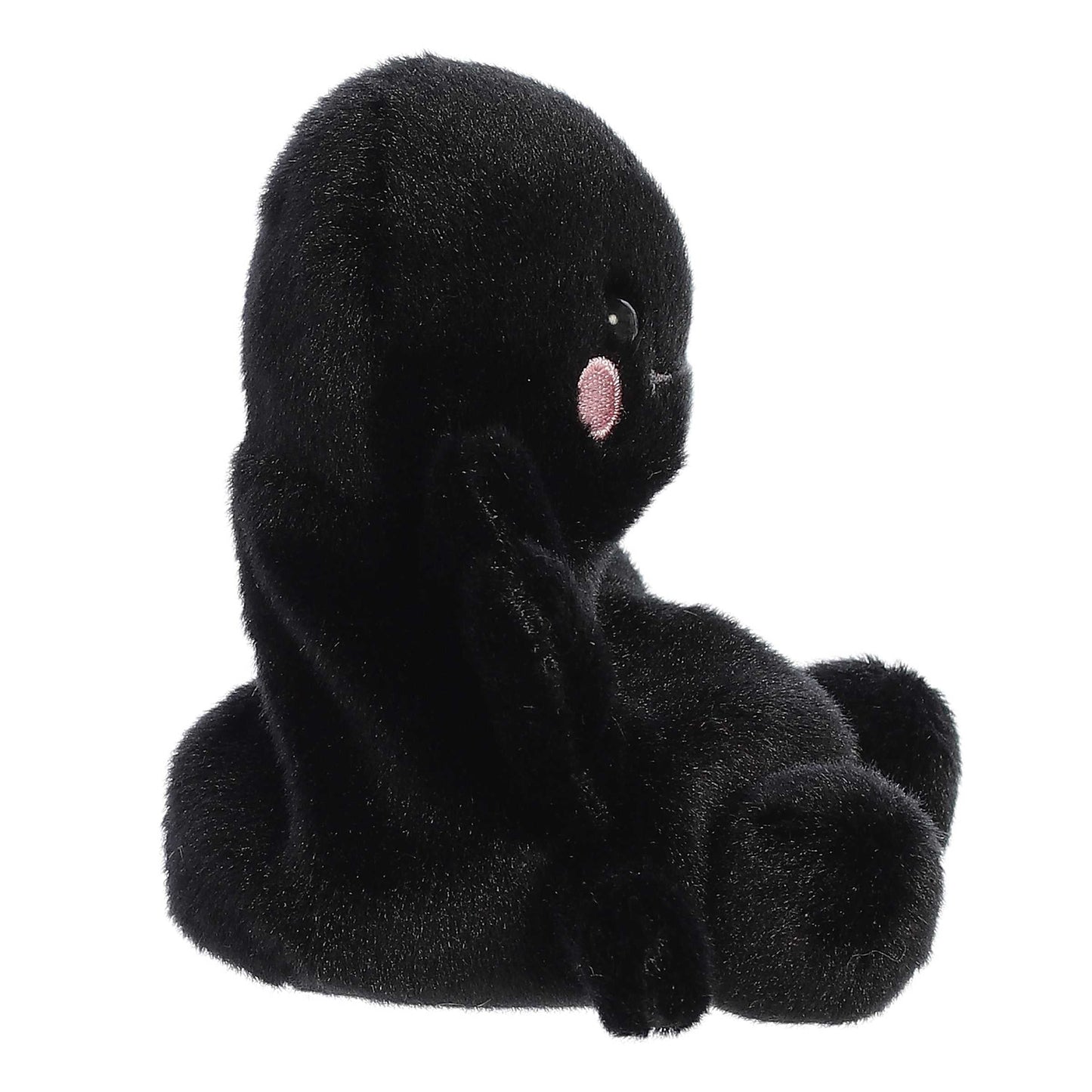 Palm Pals - Penny Mae Spider