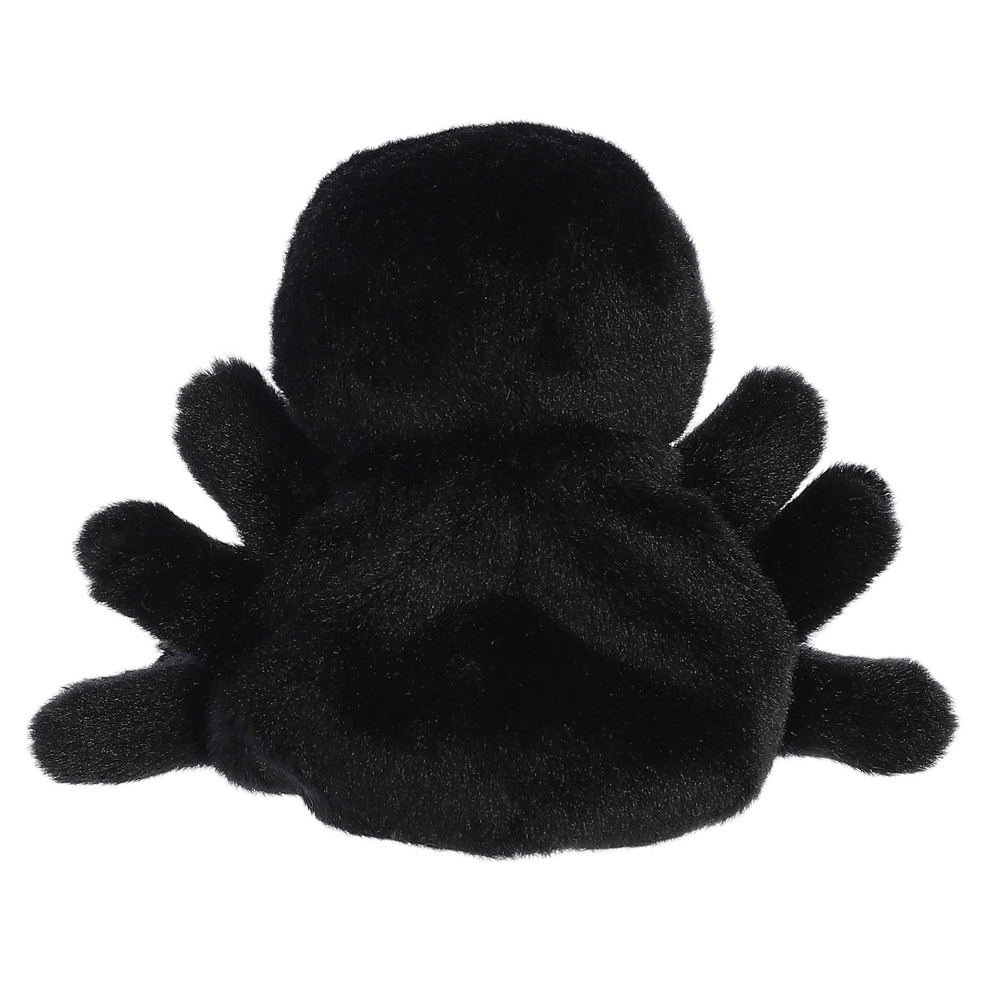 Palm Pals - Penny Mae Spider
