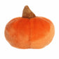 Palm Pals - Nourishing Paisley Pumpkin