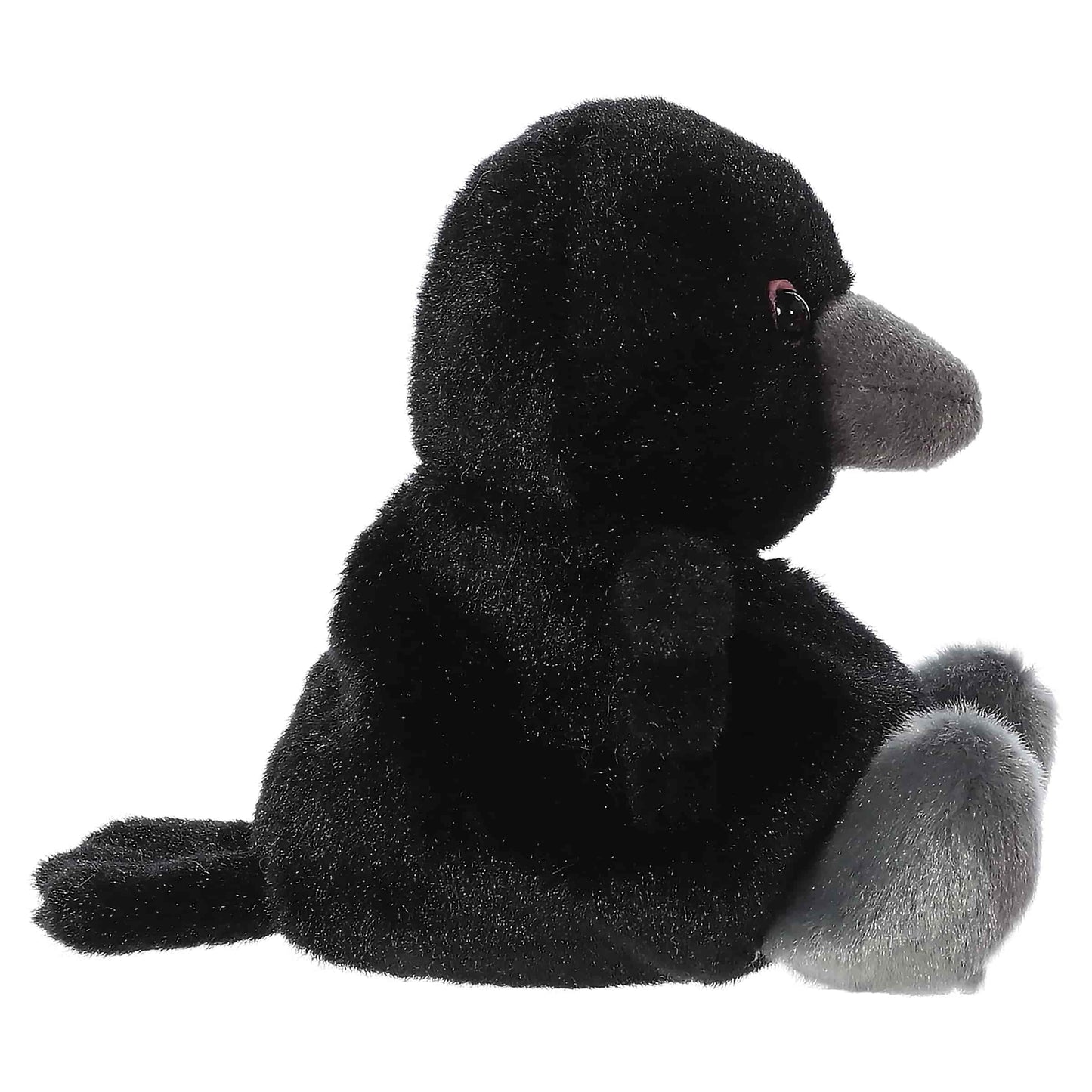 Palm Pals - Poe Raven