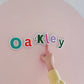 SmartyPals - Alphabet Magnet Set | Magnetic Letters For Kids Early Literacy