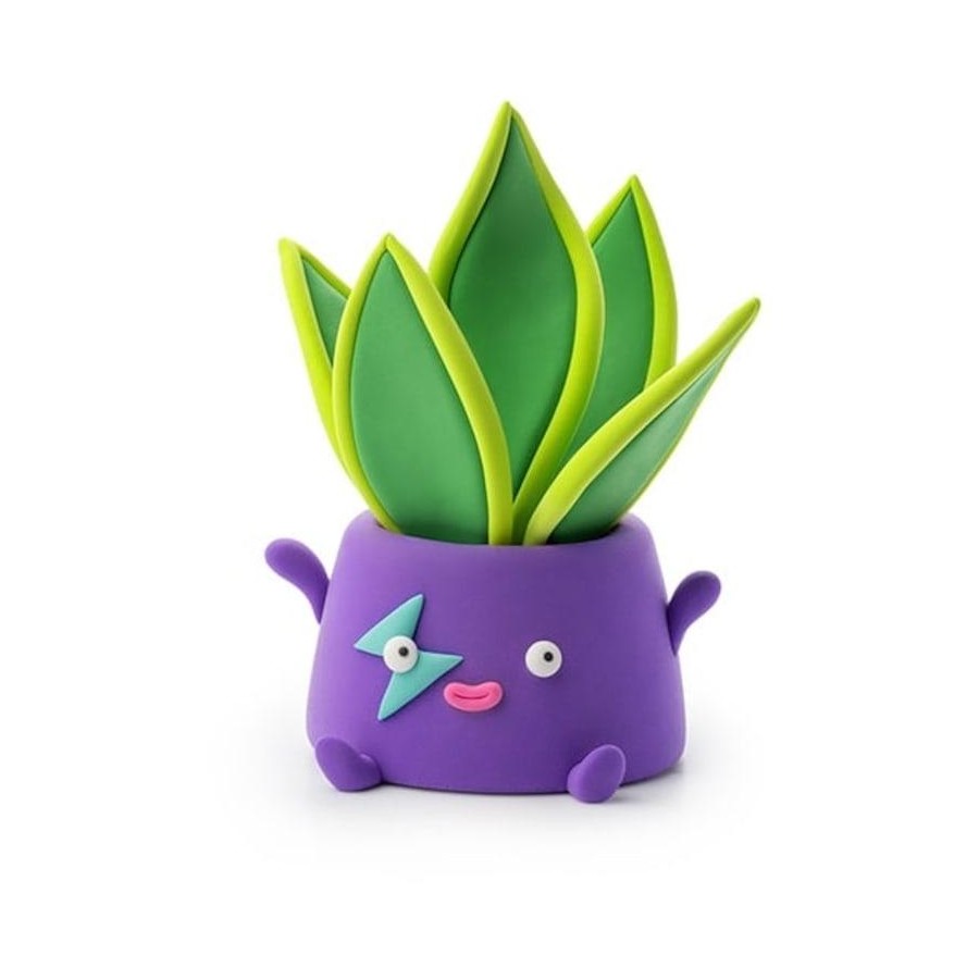Hey Clay - Plant Folks