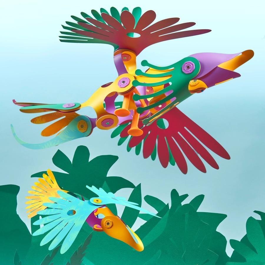 Clixo - Tropical Birds