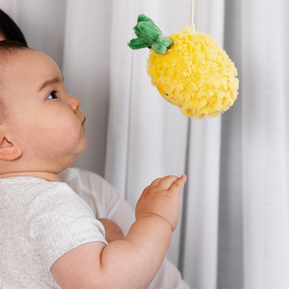 Living Textiles - 2 Pack Mini Market Brunch Stroller Toys | Pineapple & Cherries