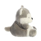 Palm Pals - Busky Husky