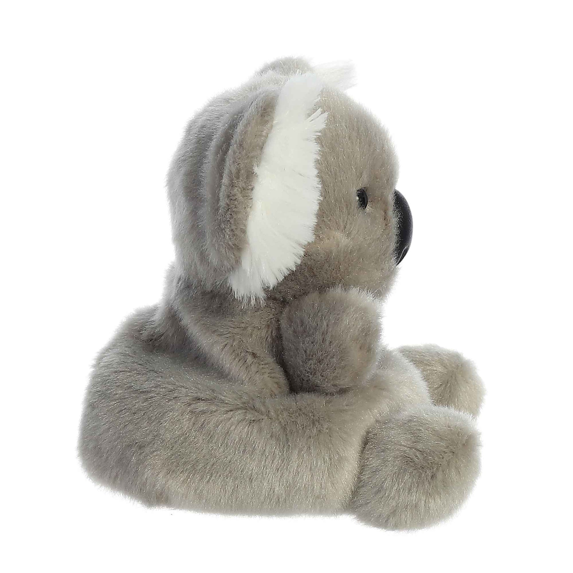 Palm Pals - Wiggles Koala